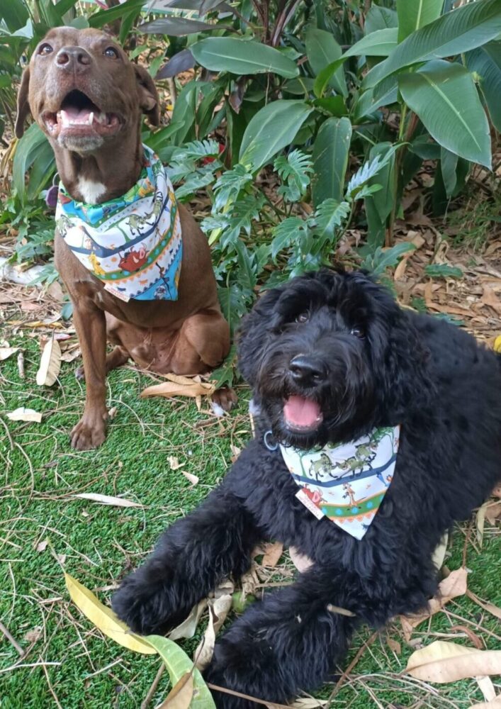 received_842112106563020